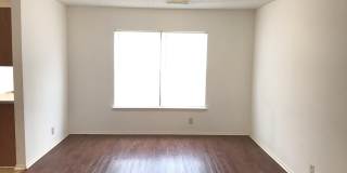 Welcome home to 8115 Grimchester! Gallery 4