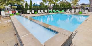 Trotters Park Gallery 16