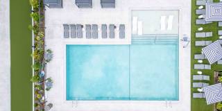 Alta French Hill Gallery 20