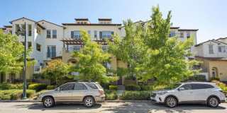 Gorgeous 2 Bed 2 Bath Dublin Townhome with Amenities! Centrally Located! Gallery 3