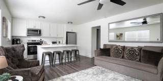 504 Wonder Lane Gallery 9