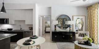 Suriana Boca Gallery 2