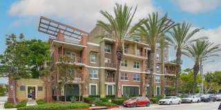 Luxury Condo with Double Primary Suites Gallery 1