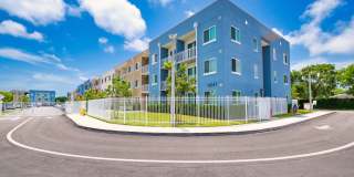 Pine Groves Gallery 35