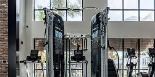 Alta Longwood Gallery 69