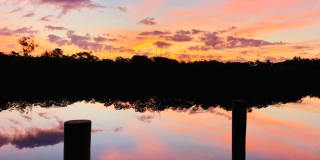 ALL THE CHARM! - Siesta Key 1+ acre on the Bay - 3 bed/ 2 bath pool home Gallery 60