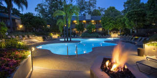 The Aspen South Coast Gallery 1