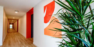 Rising Sun Gallery 25