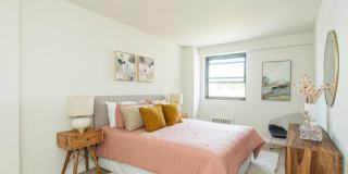 8 60th St # BTZ20936NL Gallery 3