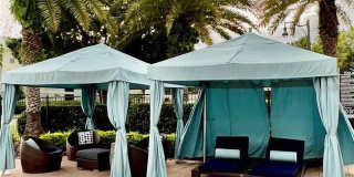 14929 ARBOR SPRINGS CIRCLE Gallery 4