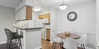 Lakeside Gardens Gallery 5