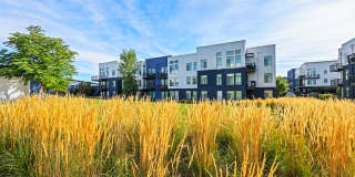 8000 Uptown Gallery 42