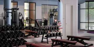 The Stevedore Gallery 36