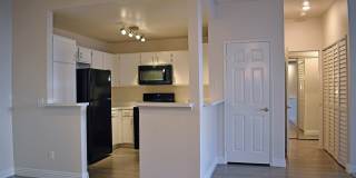 White Oak Gardens Gallery 11