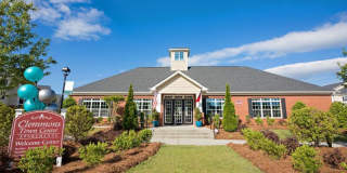 Clemmons Town Center Gallery 17