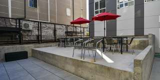 Novo Novo Gallery 27