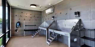 The Met The Met Gallery 48