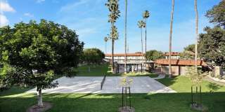 Tierra Palms Gallery 95