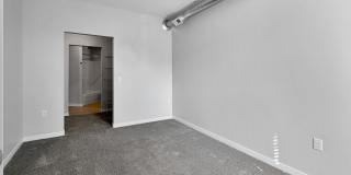 Velocity Gallery 55