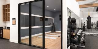 The Meadows Gallery 9