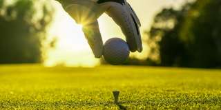 55504 Firestone Gallery 22