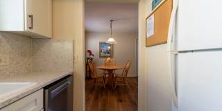 308-1-F-HL Gallery 20