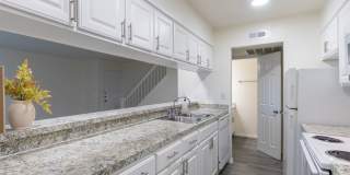 Biltmore Biltmore Gallery 10