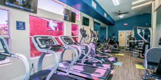 St. Lucia Gallery 17