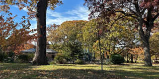 231-10 145 Avenue Gallery 19
