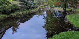 8 Northbrook Dr Gallery 20