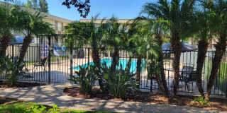 Ikaria Apartments Gallery 8