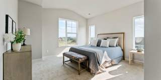 Mangold831 (KC-LN) Gallery 48