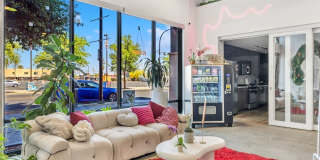Ely on Fremont Gallery 46