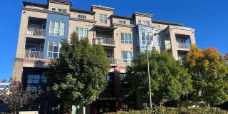 Modern Comfort Meets Prime Convenience in the Heart of Redmond’s Overlake (Reduced rent until May 1st)( MOVE IN SPECIAL ONE MONTH FREE) Gallery 1