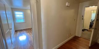 81 Fuller St Gallery 7