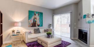 Collage Apartment Homes Gallery 4