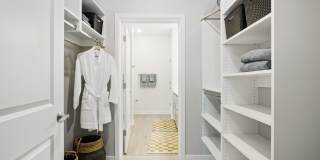 The Galaxy at Polaris Gallery 25