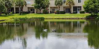 5071 Palmbrooke Cir Gallery 27