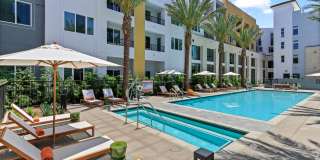 Array La Mesa Gallery 8