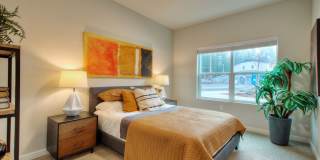 Alder Walk Gallery 20