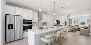 19712 SEPIA Square Gallery 1