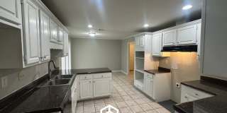 2295 Carrollwood Lane Gallery 8