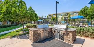 The Artisan Gallery 29