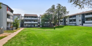 Novi at Lowry Gallery 29