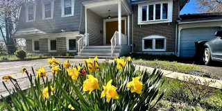 26 FOREST Drive Gallery 1