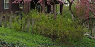 Highly Sought After OSU 6 Bedroom House Iuka Ravine with 2 new bathrooms and free off-street parking Gallery 9