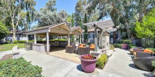 Pinewood Apartments Gallery 10