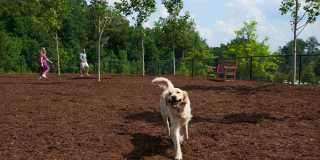 Cortland Midtown East Gallery 20