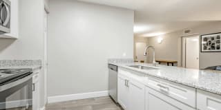 Coconut Palm Club Gallery 49