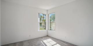 Desert Oasis Gallery 10